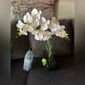White Phalaenopsis Orchid Artificial Plant in Black Vase - Home Accents